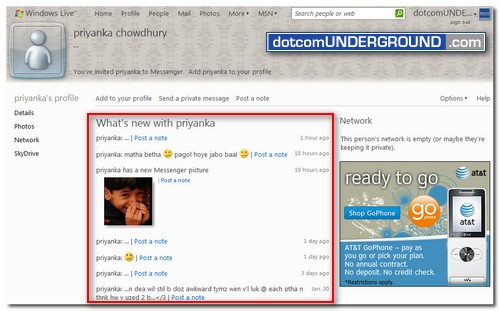 how to download msn messenger profile picture how to download msn messenger profile picture