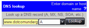 DNS Lookup Box