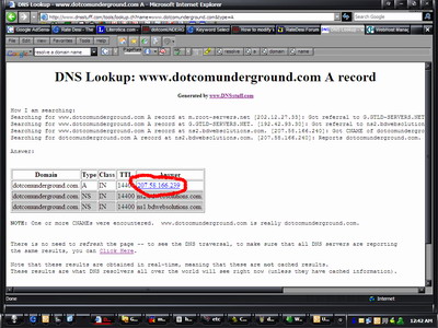 DNS Result Page