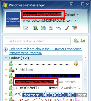 MSN Nick - Italic, Underline and Strike Out