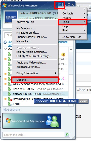 Windows Live Messenger Color Nick - Options Menu