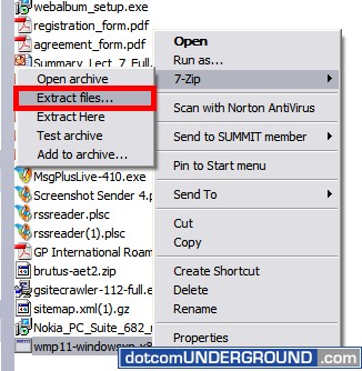 Windows Media Player 11 - Extract Files
