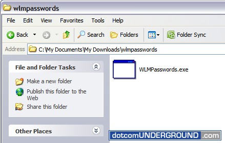 WLMPasswords.exe