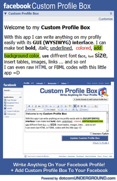 Facebook Custom Profile Box