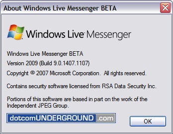 Windows Live Messenger 9 - Version Info