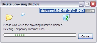 Internet Explorer 7 Delete Browsing History
