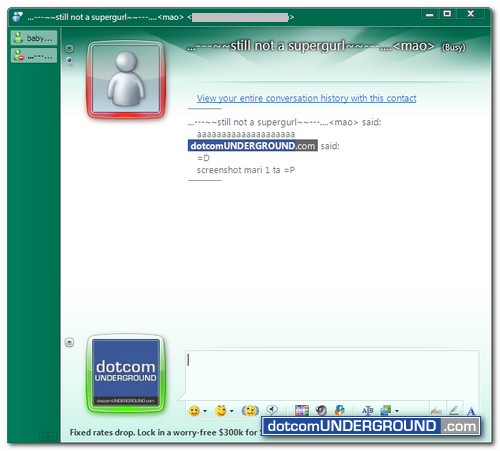 Bangladesh Flag MSN Messenger Scene - Conversation Window